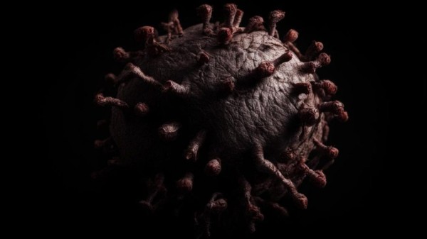 «Черная смерть» пришла в Америку: может ли чума снова быть опасной для всего мира