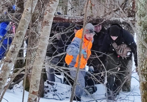 Воронежские волонтёры чудом спасли человека, который чуть не погиб из-за внезапно начавшихся галлюцинаций в лесу